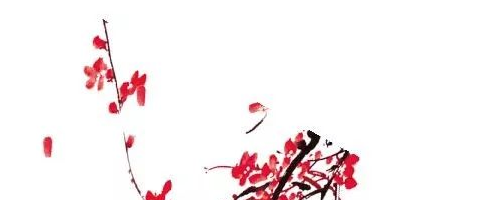 美萊塢醫(yī)美秀色可餐——面部年輕化提升的是輪廓，降低的是年齡