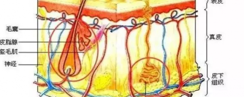 夏天來啦：激光脫毛疼不疼？要做幾次？