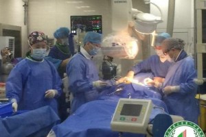 重慶西南醫(yī)院整形科醫(yī)生有哪些？實(shí)力醫(yī)生介紹