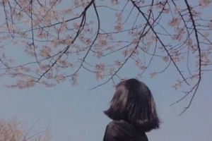 太原晉容美容整形醫(yī)院整形價(jià)格表(價(jià)目表)2020全新發(fā)布