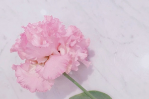 2020青島華諾整形美容醫(yī)院整形價格表(價目表)全新發(fā)布