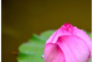 男人為何喜歡豐臀的女人？