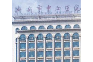 濟南前十名的整形醫(yī)院價格表展示   濟南市中心醫(yī)院整形外科皮膚祛斑手術(shù)案例