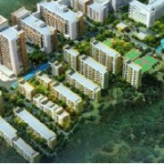 廣西科技大學(xué)第一附屬醫(yī)院骨傷整形科