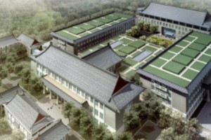 北京八大處周栩隆鼻果太好了附價(jià)格表